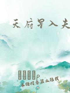 天府星入夫妻宫