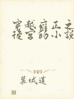 穿越雍正之极品后宫的小说