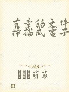有章的文件怎么扫描成电子版
