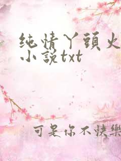 纯情丫头火辣辣小说txt
