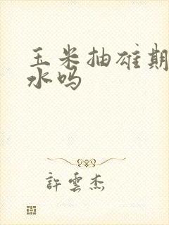 玉米抽雄期能浇水吗