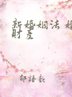 新婚姻法 婚前财产