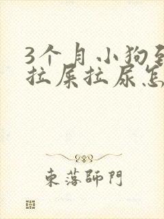 3个月小狗到处拉屎拉尿怎么办