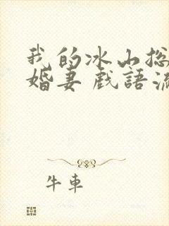 我的冰山总裁未婚妻 戏语流年