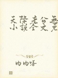 天降老公无限宠小说全文免费阅读