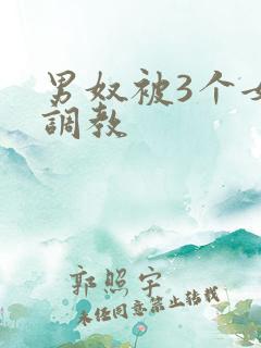 男奴被3个女王调教