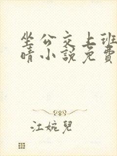 坐公交上班的苏晴小说免费
