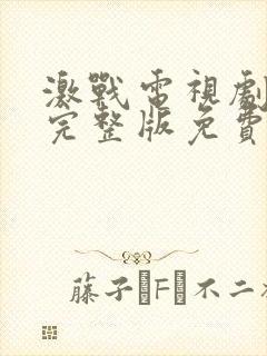 激战电视剧全集完整版免费观看