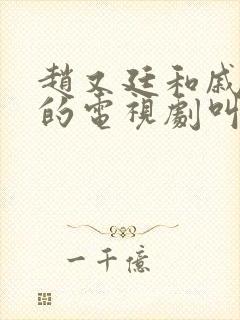 赵又廷和戚薇演的电视剧叫什么