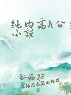 纯肉高h公交车小说