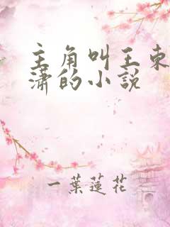 主角叫王东和唐潇的小说