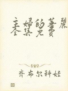 主妇的华丽反击全集免费