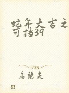 蛇年大吉之婚不可挡39