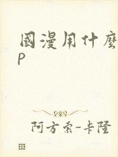 国漫用什么app