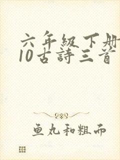 六年级下册语文10古诗三首笔记