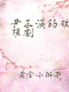 尹正演的破案电视剧