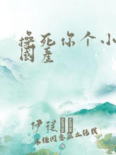 操死你个小骚货国产