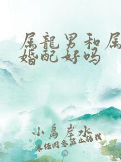 属龙男和属牛女婚配好吗