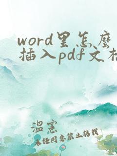 word里怎么插入pdf文档