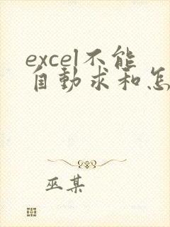 excel不能自动求和怎么办