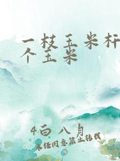 一枝玉米杆结多个玉米