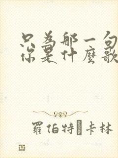 只为那一句我爱你是什么歌的歌词