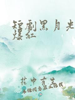 短剧黑月光只想爆红