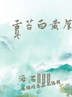 舌苔白黄厚腻口臭