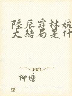陆辰霆林婉小说大结局是什么