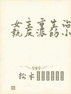 女主重生治愈偏执反派的小说