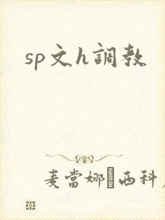 sp文h调教