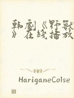 韩剧《野兽终章》在线播放