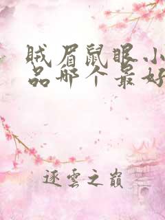 贼眉鼠眼小说作品哪个最好看