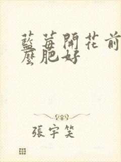 蓝莓开花前用什么肥好