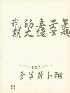 我的妻子是大乘期大佬笔趣阁