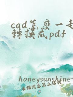 cad怎么一起转换成pdf