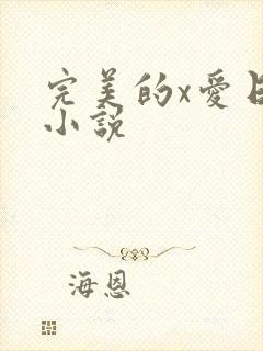 完美的x爱日本小说
