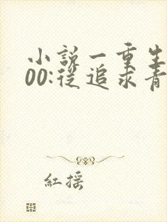 小说一重生2000:从追求青涩校花同桌开始