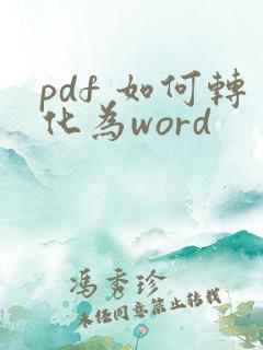 pdf 如何转化为word