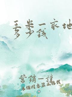玉米一亩地能赚多少钱