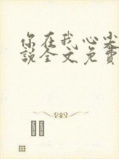 你在我心尖上小说全文免费阅读
