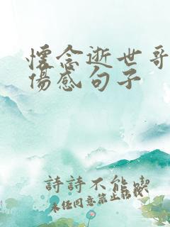 怀念逝世哥哥的伤感句子