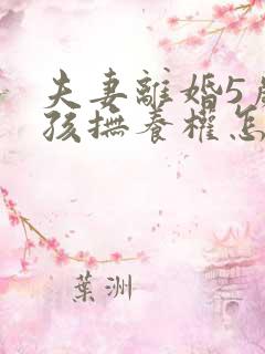 夫妻离婚5岁小孩抚养权怎么判