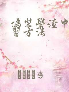 伪装学渣中的学习方法