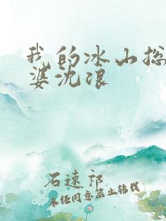 我的冰山总裁老婆沈浪