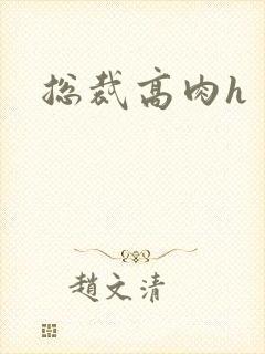 总裁高肉h