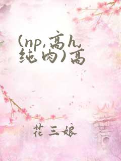 (np,高h,纯肉)高