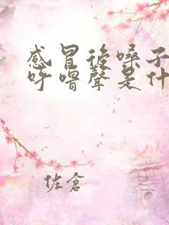 感冒后嗓子呼噜呼噜声是什么原因