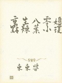 重生八零媳妇有点辣叶小琼