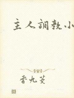 主人调教小骚货